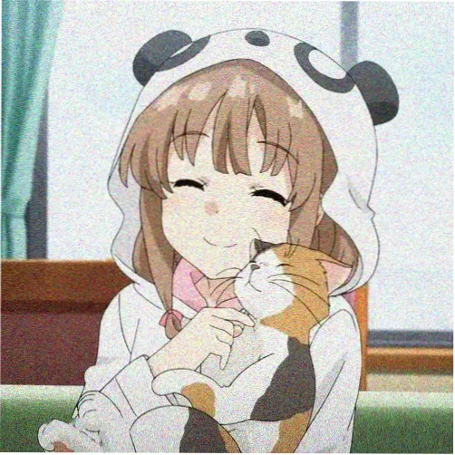 敦贺莲头像